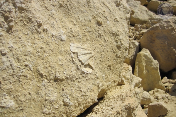 urlaub-in-griechenland-auf-kreta-vom-07-08-2011-bis-21-08-2011-1798B9584DAB-3C97-5342-4A9E-61F9871E4145.jpg