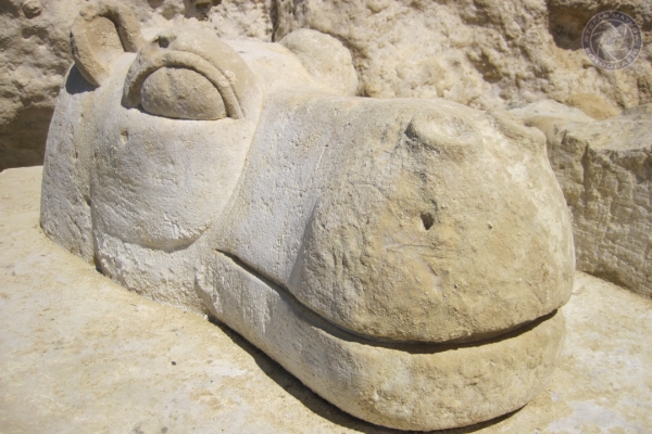 urlaub-in-griechenland-auf-kreta-vom-07-08-2011-bis-21-08-2011-1811CC7727E9-CAD2-9EDE-68BD-8D0B60FBE1ED.jpg