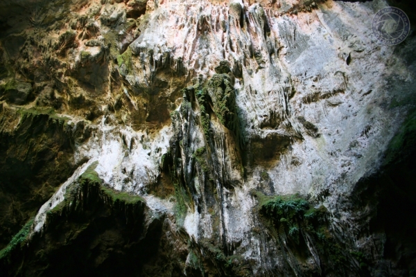 urlaub-in-griechenland-auf-kreta-vom-05-08-2012-bis-19-08-2012-02339DEA4597-9BDD-B0CE-7770-F18F58D51EE7.jpg