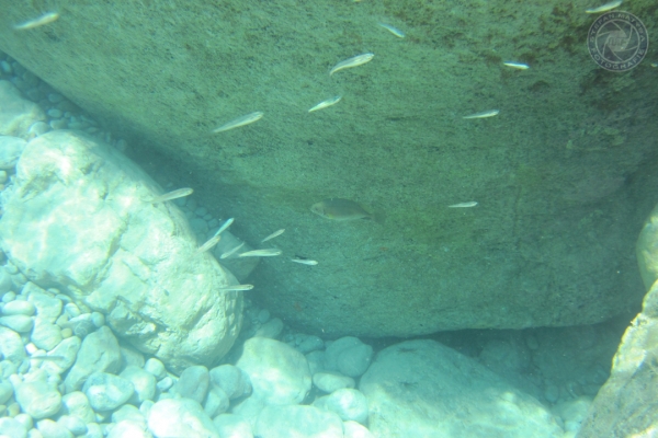 urlaub-in-griechenland-auf-kreta-vom-05-08-2012-bis-19-08-2012-03938106A6B3-9759-70BA-D46B-59B08D5BA349.jpg