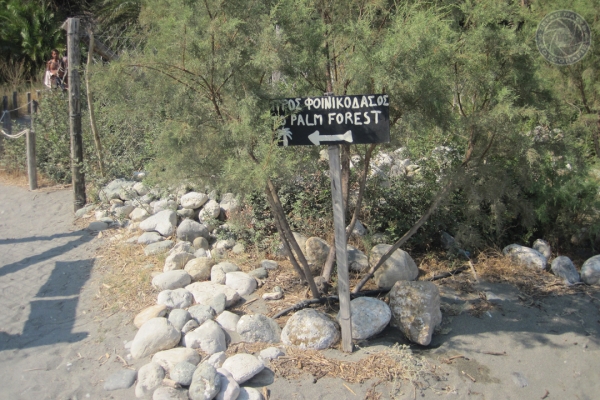 urlaub-in-griechenland-auf-kreta-vom-05-08-2012-bis-19-08-2012-0485ED34276B-8BA6-E03C-A09F-038824C0D43D.jpg