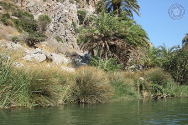 urlaub-in-griechenland-auf-kreta-vom-05-08-2012-bis-19-08-2012-0534A3179CDB-CDED-3E60-C535-DCBE0875A27C.jpg