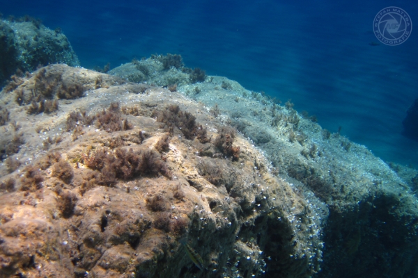urlaub-in-griechenland-auf-kreta-vom-05-08-2012-bis-19-08-2012-06499C9BE84D-889D-C87F-D9E9-0D69CD1A8FF1.jpg