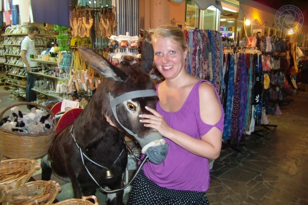 urlaub-in-griechenland-auf-kreta-vom-05-08-2012-bis-19-08-2012-06975B11C689-9D64-52A7-368D-C2DC5AE746F1.jpg