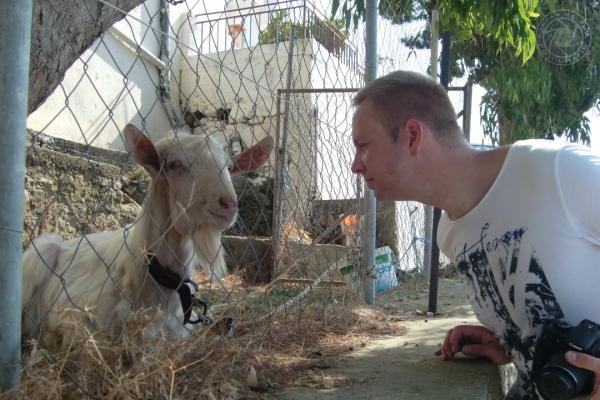 urlaub-in-griechenland-auf-kreta-vom-05-08-2012-bis-19-08-2012-084017E7F722-C0BB-5138-C661-90EAFC7D2C87.jpg