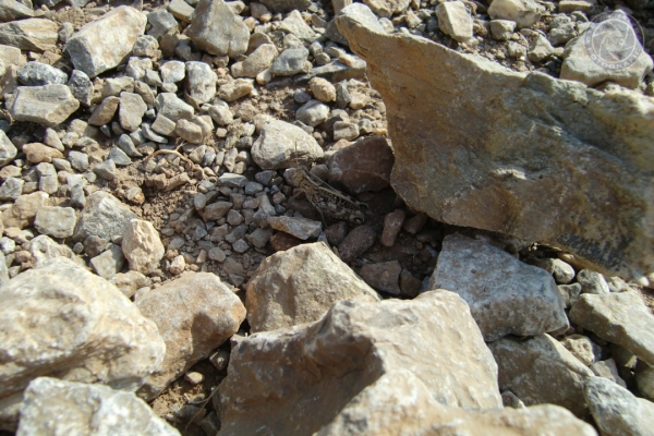 urlaub-in-griechenland-auf-kreta-vom-05-08-2012-bis-19-08-2012-08869576F3E1-1BE7-74AF-9739-F193923D8702.jpg