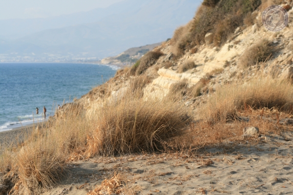 urlaub-in-griechenland-auf-kreta-vom-05-08-2012-bis-19-08-2012-0925D5162B04-320B-10FE-B64E-3B8154DEB995.jpg