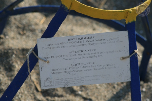 urlaub-in-griechenland-auf-kreta-vom-05-08-2012-bis-19-08-2012-0929D4EDB433-1566-4121-2587-B4FEBFD22106.jpg