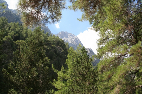 urlaub-in-griechenland-auf-kreta-vom-05-08-2012-bis-19-08-2012-1068FDFB09FF-8D73-A7C0-3CD1-416F910AB202.jpg