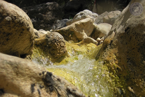 urlaub-in-griechenland-auf-kreta-vom-05-08-2012-bis-19-08-2012-1115F0F48018-BA6E-1B9C-B92F-6E0E5DBE79F8.jpg