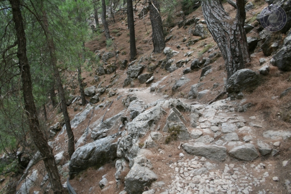 urlaub-in-griechenland-auf-kreta-vom-05-08-2012-bis-19-08-2012-118344854115-8AA1-625A-211B-2305893775B2.jpg