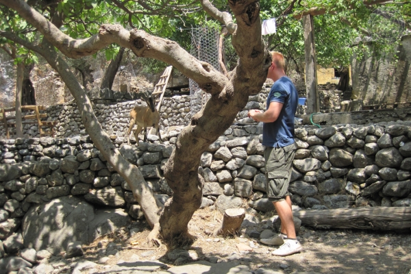 urlaub-in-griechenland-auf-kreta-vom-05-08-2012-bis-19-08-2012-1234C01DB46A-4C0C-0AC6-4955-E49B46DF1CC4.jpg