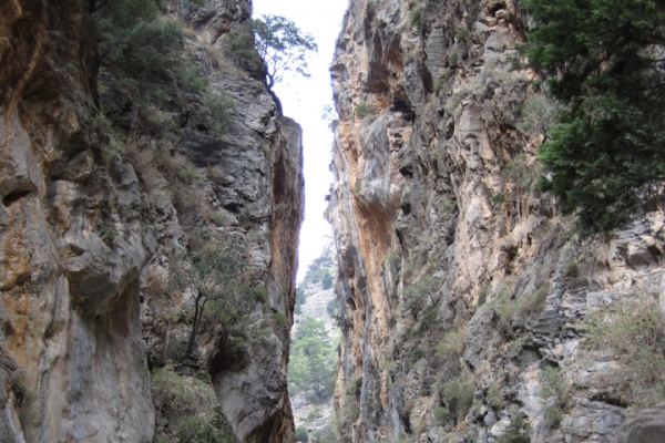 urlaub-in-griechenland-auf-kreta-vom-05-08-2012-bis-19-08-2012-136556CEEC61-292F-9405-A424-0F4A58705543.jpg