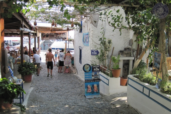 urlaub-in-griechenland-auf-kreta-vom-05-08-2012-bis-19-08-2012-1387C6888211-BF86-16E5-1FC9-1799C2134B98.jpg