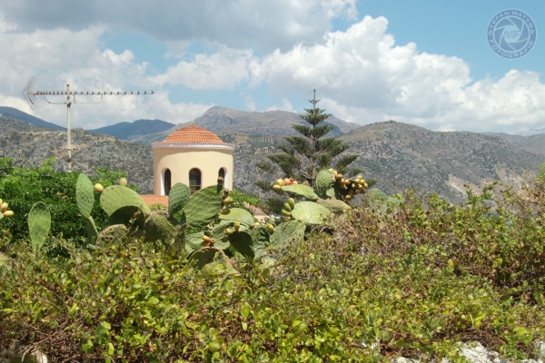 urlaub-in-griechenland-auf-kreta-vom-05-08-2012-bis-19-08-2012-162400BD191D-0CC6-2942-5E1F-AE07449DE194.jpg