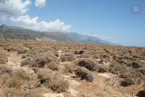 urlaub-in-griechenland-auf-kreta-vom-05-08-2012-bis-19-08-2012-1647DF05EB9C-F6EB-11EC-D5E2-0FDB452B1A92.jpg