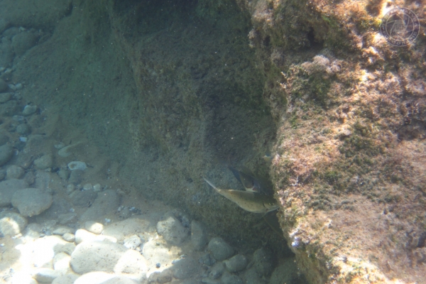 urlaub-in-griechenland-auf-kreta-vom-05-08-2012-bis-19-08-2012-1783AC9BCDAD-4A5C-2E3D-9321-0A76925733EB.jpg