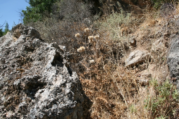 urlaub-in-griechenland-auf-kreta-vom-05-08-2012-bis-19-08-2012-19386E39EDC5-6538-9548-F04F-C8DD5691FECC.jpg