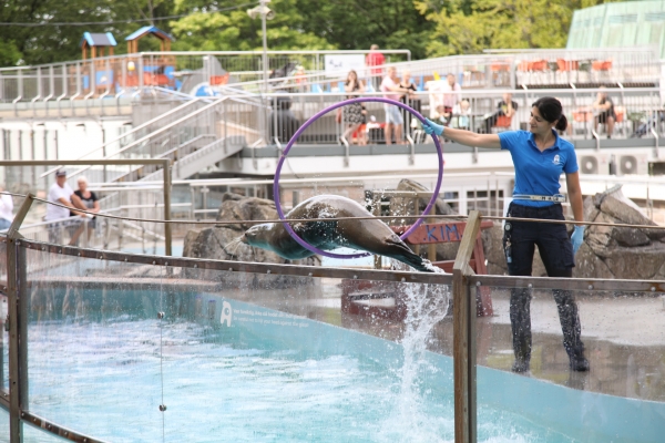 20180725151139-c5d-439899E92B1E-2E58-CEBA-4C75-75E7FC166194.jpg