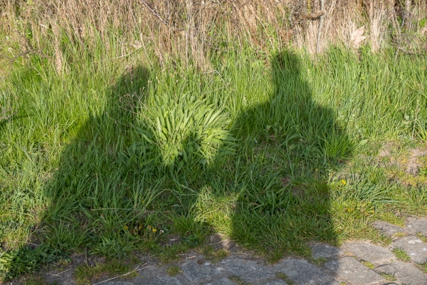 ruegen-hiddensee-2019-2289FB67B2C2-9C0D-B37F-E011-2BCBD564C18D.jpg