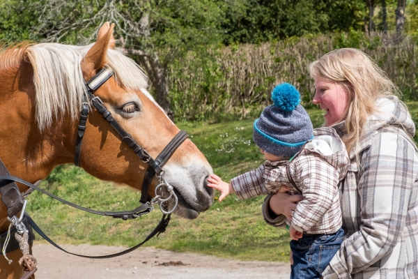 ruegen-hiddensee-2019-23282DF3B330-D67C-EFF4-EDBC-DA7EF1476D4C.jpg