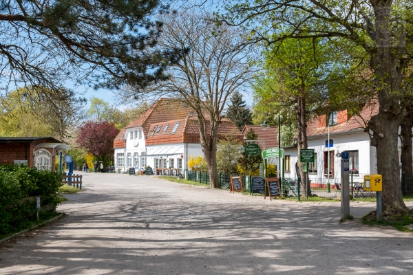 ruegen-hiddensee-2019-23290DC158F2-C67A-A085-BEE2-05A2B9E66EB3.jpg