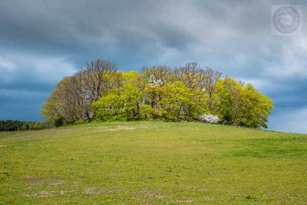 ruegen-hiddensee-2019-23448F632858-1FCF-A301-4FEA-6FE15EFACAAE.jpg