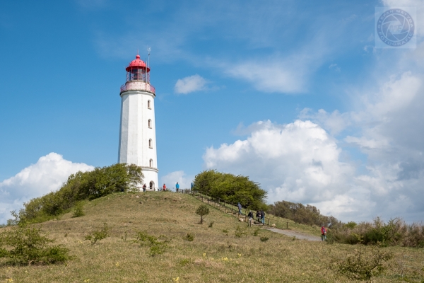 ruegen-hiddensee-2019-23743C8B3FD0-39D2-30C3-ABEA-8265EF4DC716.jpg