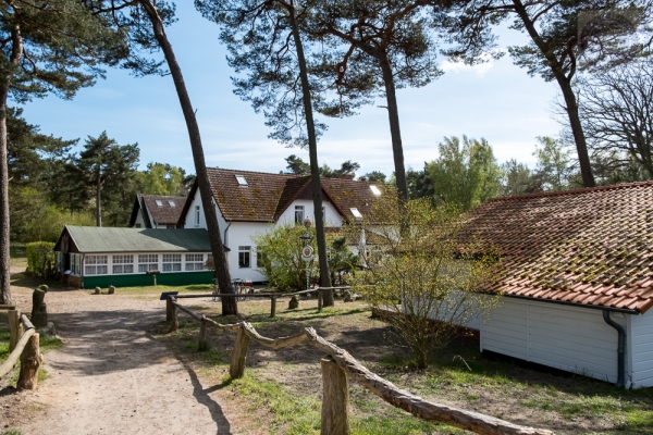 ruegen-hiddensee-2019-2381D999B344-66EE-7743-9ABB-23B24B39FB57.jpg
