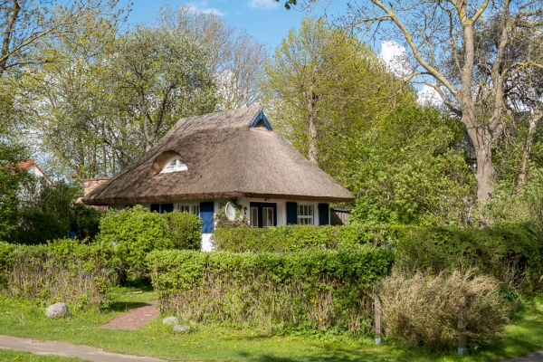 ruegen-hiddensee-2019-24042F343F17-E1E7-FD06-3682-C91BCB0544BD.jpg