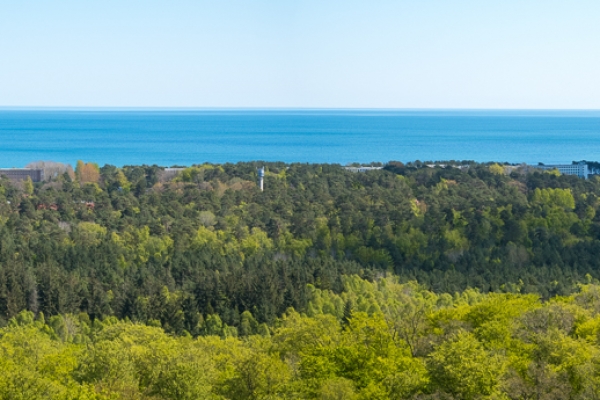 ruegen-hiddensee-2019ACFE8C0E-D2AE-D789-B1B4-741545E9BB77.jpg