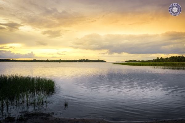 schweden-2019-035767A8352C0-86A1-532E-B601-B5F250C0D063.jpg