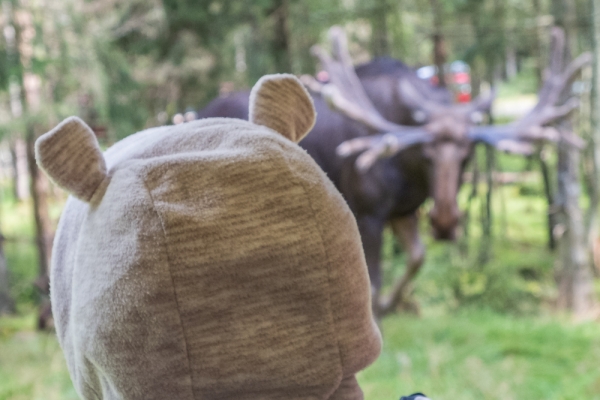 schweden-2019-03664EC5A92BE-648F-6213-921F-F9425FBDF040.jpg