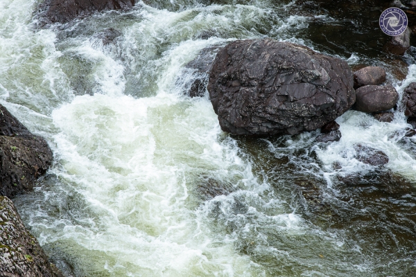 schweden-2019-531599710CB7-7848-EC91-A290-1F7AC041DEA1.jpg