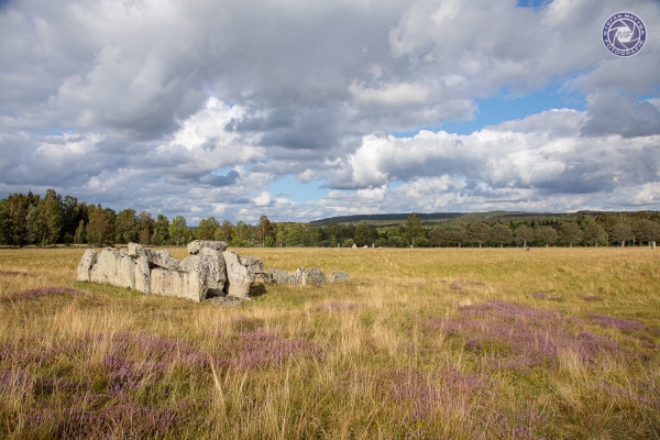 schweden-2019-566140E7C425-9E52-B1C0-999F-6D603B192C4A.jpg