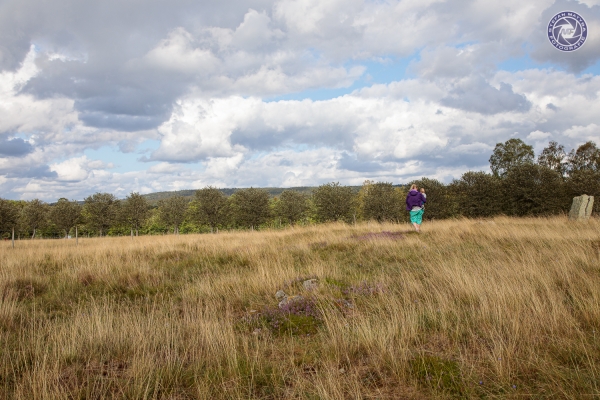 schweden-2019-5668B5C4563F-9B12-FBF9-05E6-A994265D9780.jpg