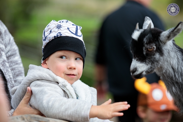 schweden-2019-574049EA62A5-EC10-9984-CD09-D106BBA26436.jpg