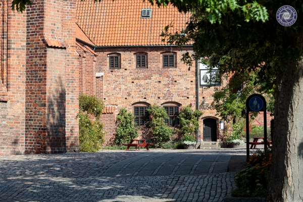 schweden-2019-61718BCF0C85-AEAB-810A-6F6E-6CAAF57A99DF.jpg