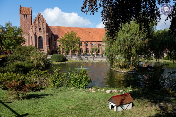 schweden-2019-6179C66EE72D-7707-5EF5-9021-C821986FAF69.jpg