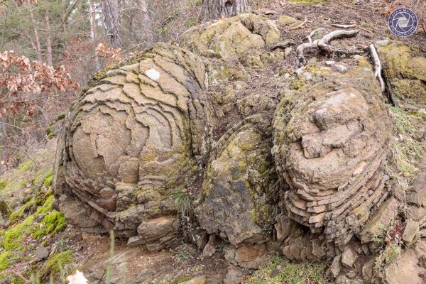 muenchberg-0882907F70-F9EE-4FA9-BB9D-848BA1B912BC.jpg