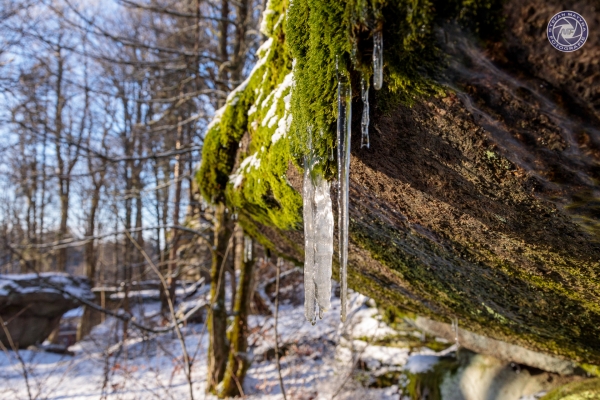 muenchberg-1063FD9565-56DF-BA84-2619-2507A04ECFF5.jpg