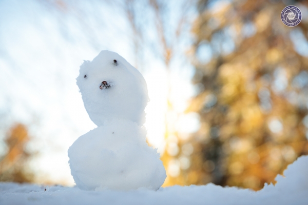muenchberg-12C698B18C-E7B8-3D4A-BD47-5B4749BB5BC9.jpg