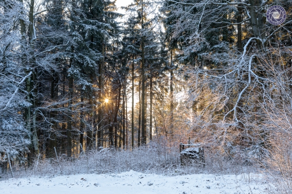 muenchberg-135E026D90-1B14-3358-B1FA-4BC30BDC742B.jpg