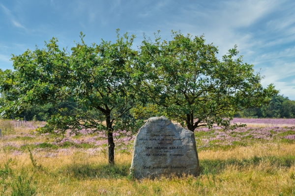 unbenannt-109733AABA-C813-2B5A-8FE1-F9C72147A74E.jpg