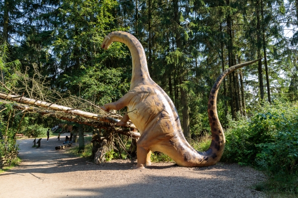 unbenannt-5817811DE727-F0E6-4118-EA85-F58877E53E31.jpg