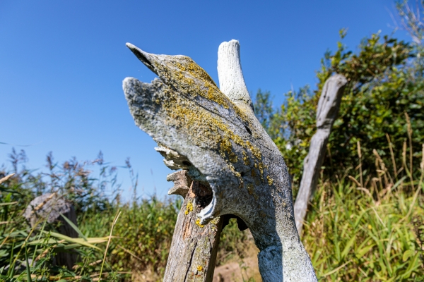 unbenannt-6620E1F6E5F5-E018-4D4A-F264-98B4285DF505.jpg