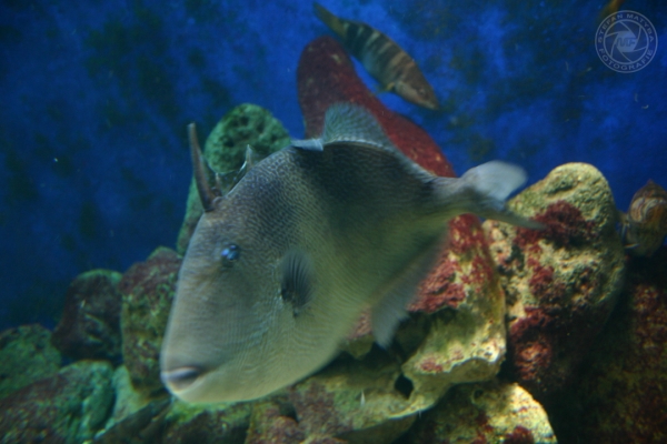 urlaub-in-kroatien-vom-26-05-06-bis-10-06-06-009395817B01-852E-8880-E32D-6F370DF19157.jpg