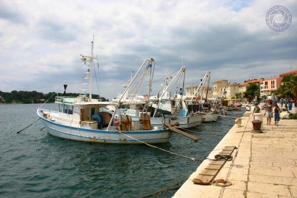 urlaub-in-kroatien-vom-26-05-06-bis-10-06-06-0123D8EF59AC-C2B2-074A-0873-B4E201340F37.jpg