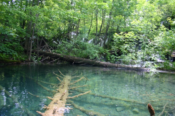 urlaub-in-kroatien-vom-26-05-06-bis-10-06-06-0918EC349961-4B78-BE55-EAC3-6BE94BC8472C.jpg