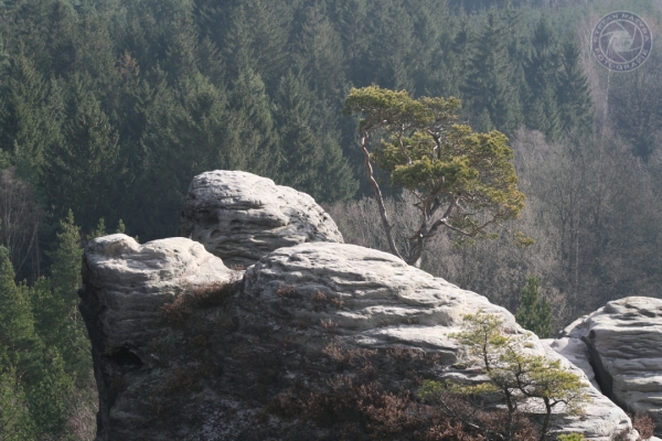 urlaub-in-rathen-vom-07-02-2008-bis-10-02-2008-0066016D887E-D922-E23D-214F-8AE2ACE62341.jpg